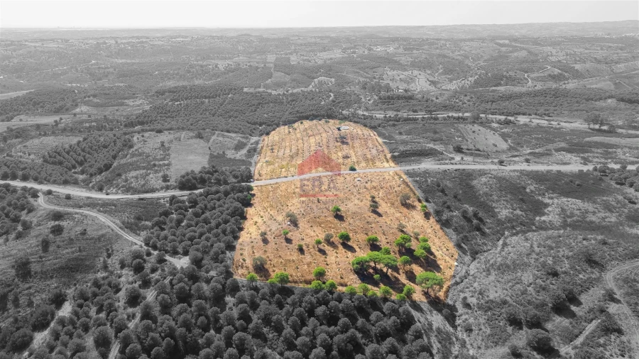 Terreno Agricola ou Rústico para Venda em Azinhal Foto 6