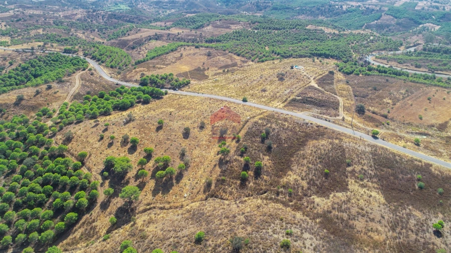 Terreno Agricola ou Rústico para Venda em Azinhal Foto 3