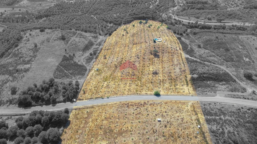 Terreno Agricola ou Rústico para Venda em Azinhal Foto 10