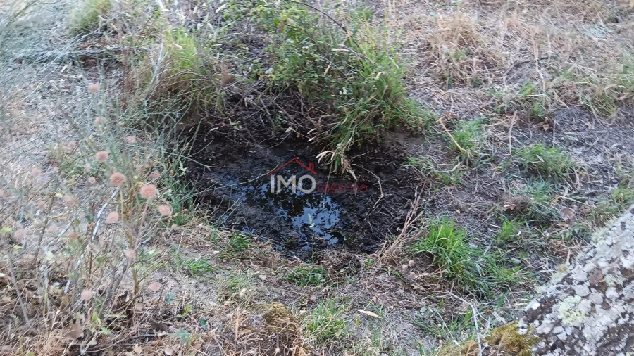 Terreno Agricola ou Rústico para Venda em Santa Maria de Marvão Foto 15