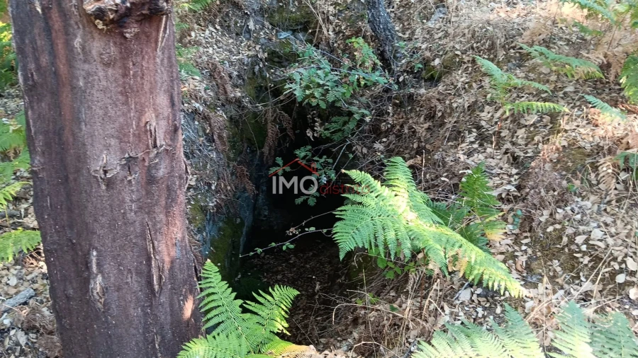 Terreno Agricola ou Rústico para Venda em Santa Maria de Marvão Foto 8