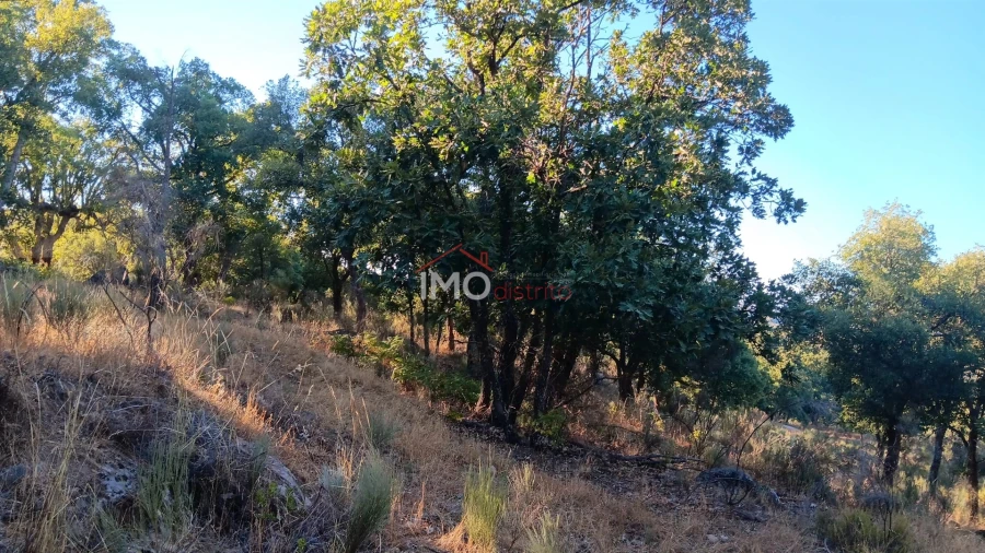 Terreno Agricola ou Rústico para Venda em Santa Maria de Marvão Foto 5