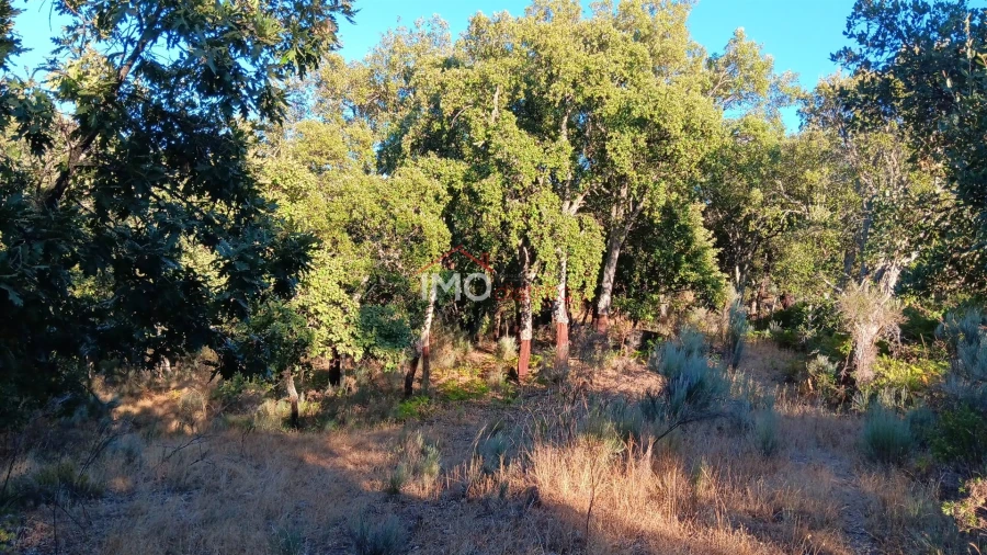 Terreno Agricola ou Rústico para Venda em Santa Maria de Marvão Foto 1