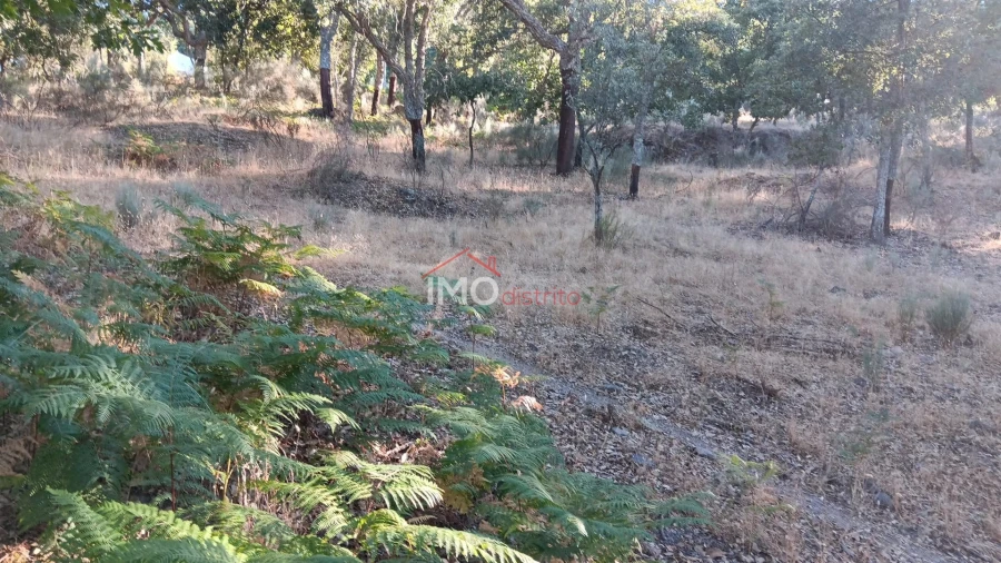 Terreno Agricola ou Rústico para Venda em Santa Maria de Marvão Foto 7