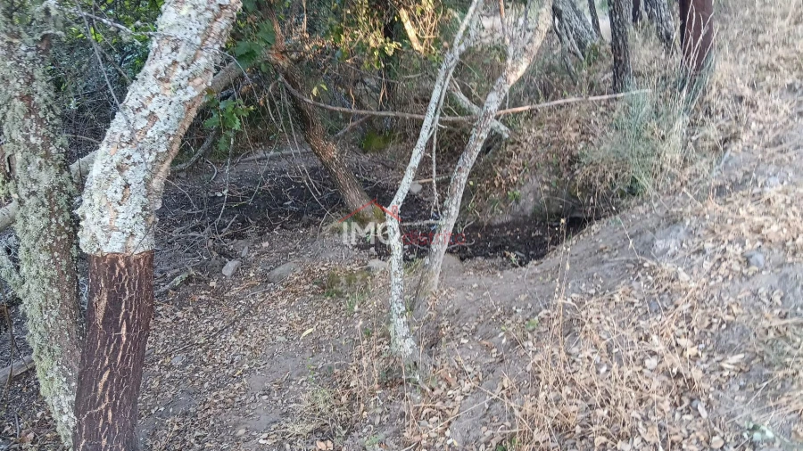 Terreno Agricola ou Rústico para Venda em Santa Maria de Marvão Foto 16
