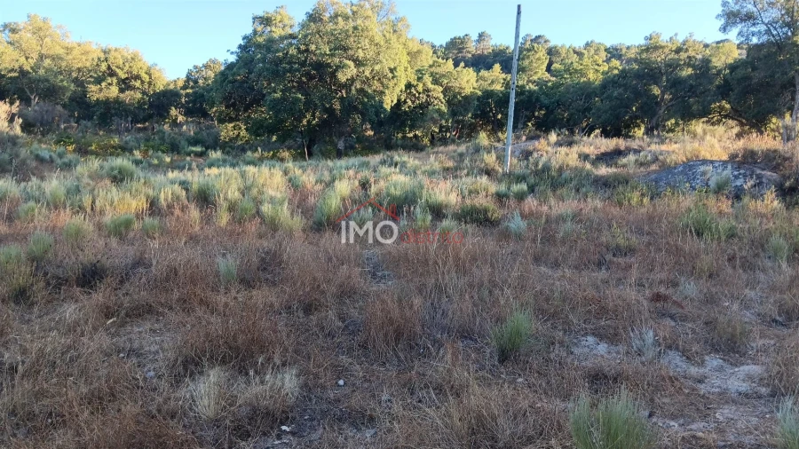 Terreno Agricola ou Rústico para Venda em Santa Maria de Marvão Foto 23