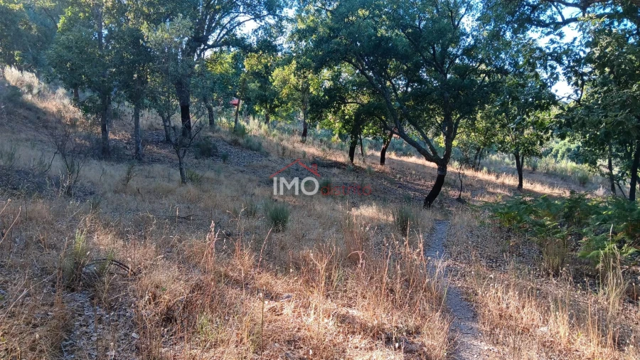 Terreno Agricola ou Rústico para Venda em Santa Maria de Marvão Foto 14