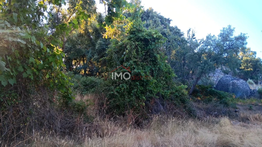 Terreno Agricola ou Rústico para Venda em Santa Maria de Marvão Foto 18