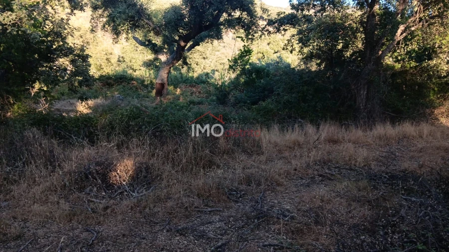 Terreno Agricola ou Rústico para Venda em Santa Maria de Marvão Foto 20