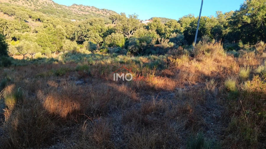 Terreno Agricola ou Rústico para Venda em Santa Maria de Marvão Foto 24