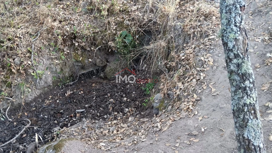 Terreno Agricola ou Rústico para Venda em Santa Maria de Marvão Foto 17