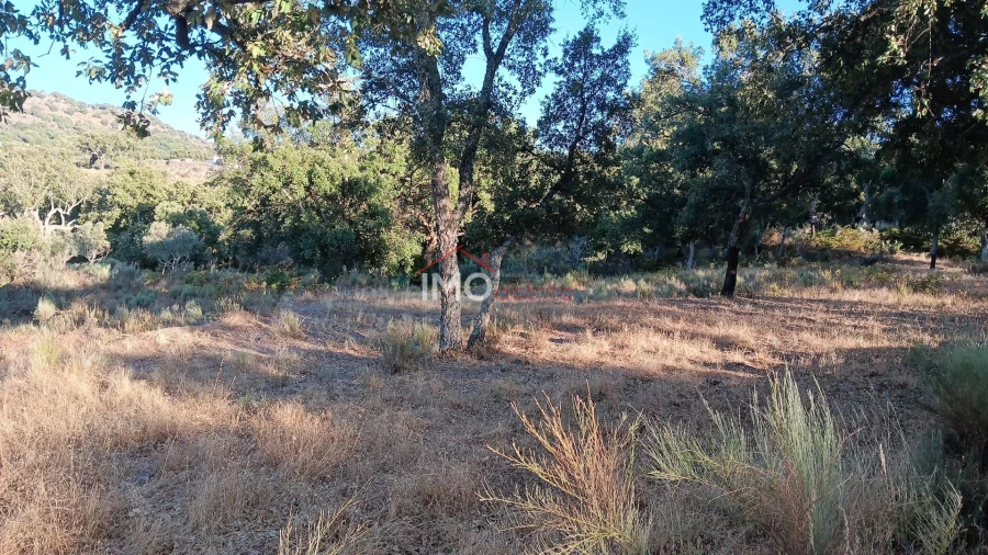 Terreno Agricola ou Rústico para Venda em Santa Maria de Marvão Foto 26