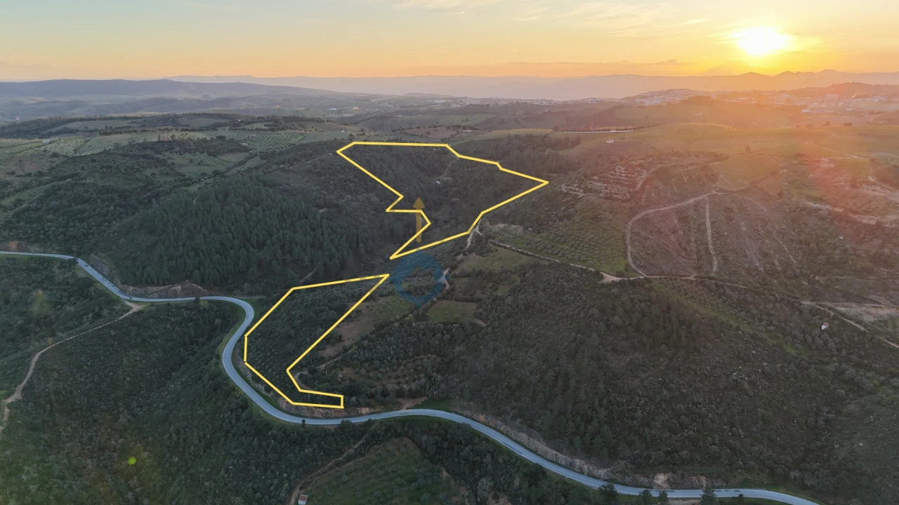 Quinta T0 para Venda em Alfandega da Fe Foto 1