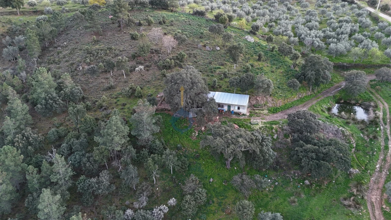 Quinta T0 para Venda em Alfandega da Fe Foto 13