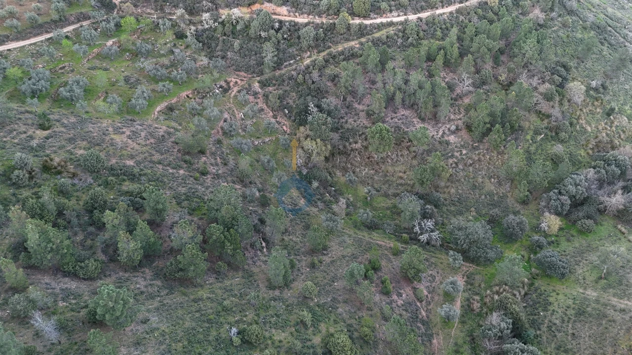 Quinta T0 para Venda em Alfandega da Fe Foto 9