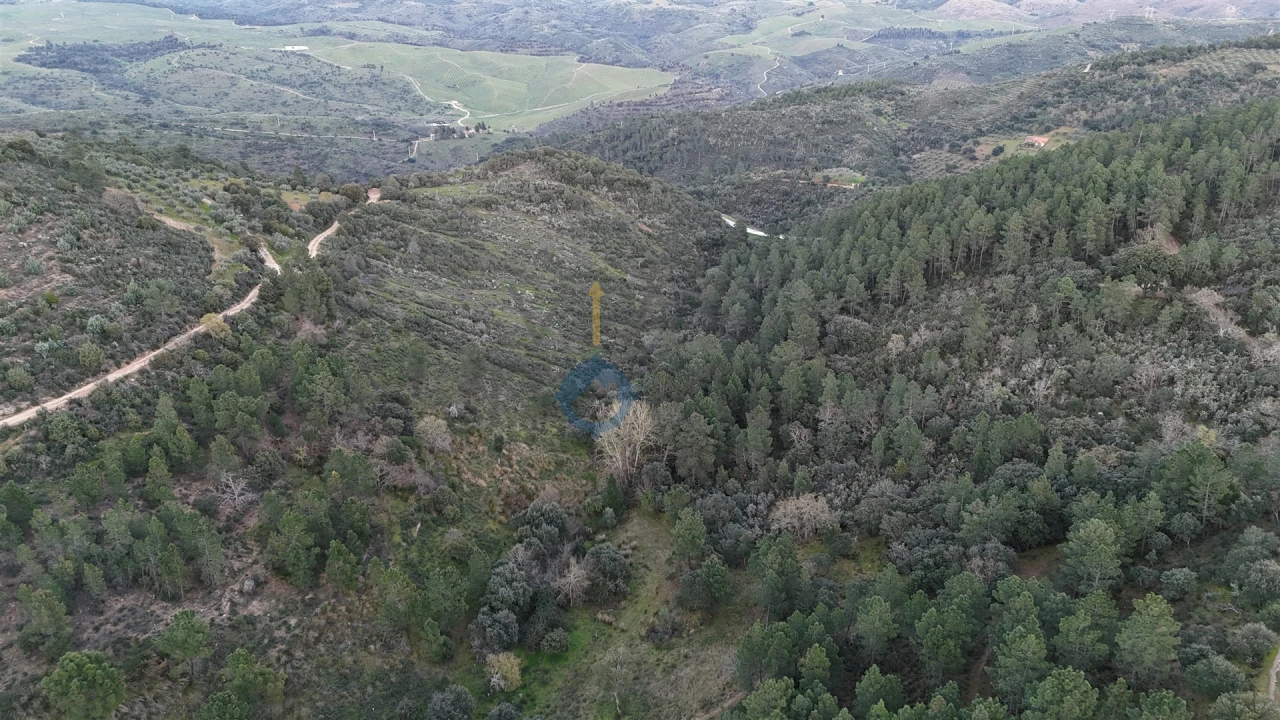 Quinta T0 para Venda em Alfandega da Fe Foto 10