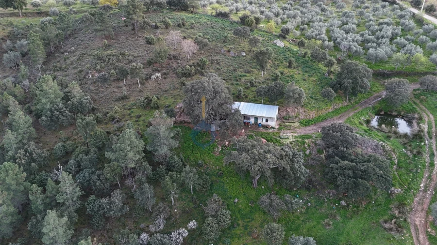 Quinta T0 para Venda em Alfandega da Fe Foto 13
