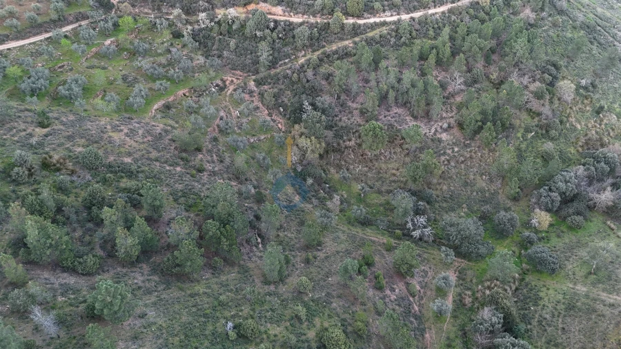 Quinta T0 para Venda em Alfandega da Fe Foto 9