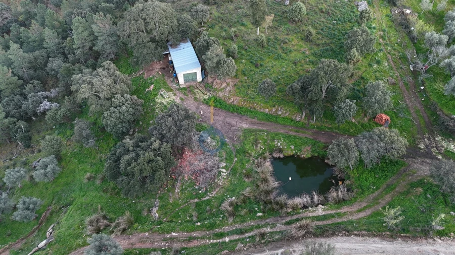 Quinta T0 para Venda em Alfandega da Fe Foto 12