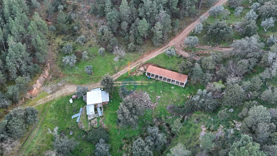 Quinta T0 para Venda em Alfandega da Fe Foto 6