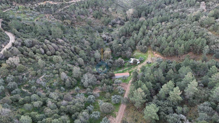 Quinta T0 para Venda em Alfandega da Fe Foto 4