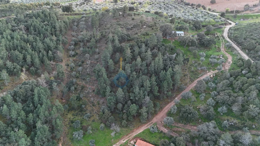 Quinta T0 para Venda em Alfandega da Fe Foto 7