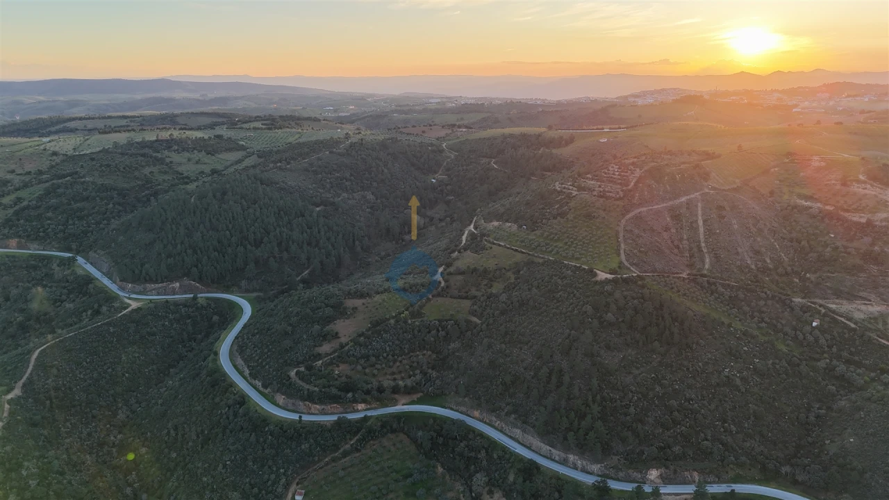 Quinta T0 para Venda em Alfandega da Fe Foto 3