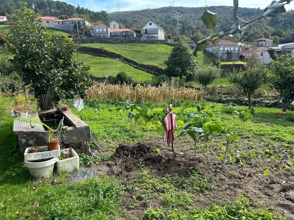 Moradia T3 para Venda em Parada do Monte e Cubalhão Foto 56