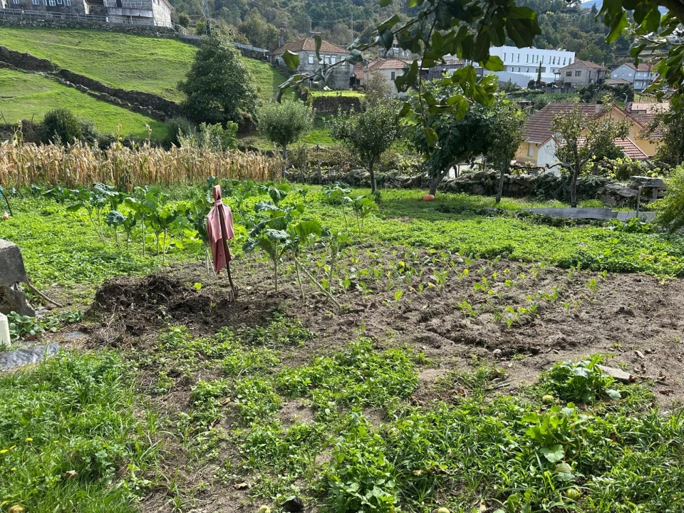 Moradia T3 para Venda em Parada do Monte e Cubalhão Foto 57