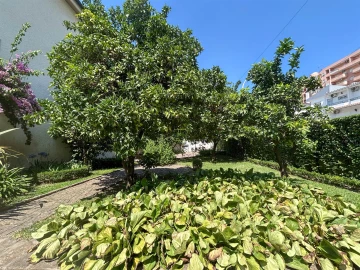 Moradia T6 para Venda em Castelo Branco