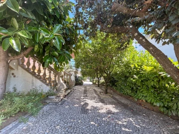 Moradia T6 para Venda em Castelo Branco