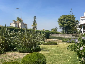 Moradia T6 para Venda em Castelo Branco