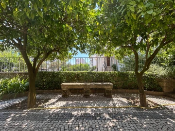 Moradia T6 para Venda em Castelo Branco