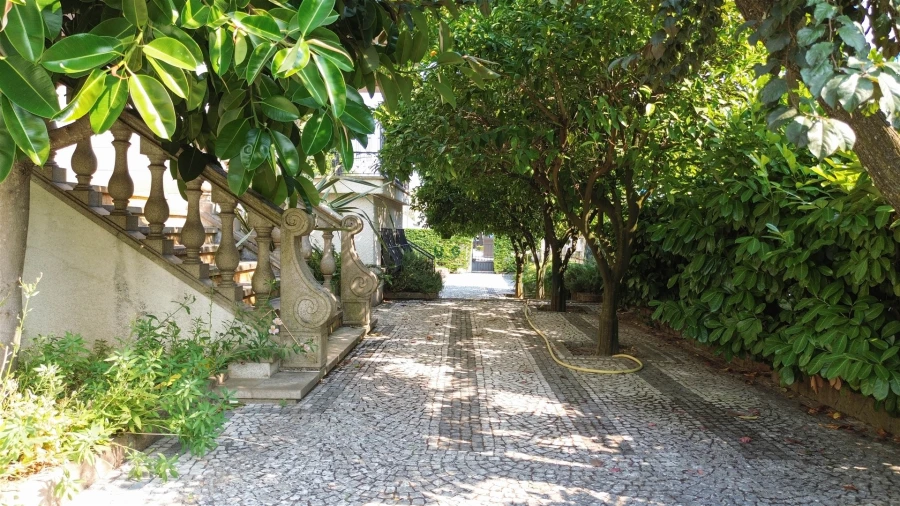 Moradia T6 para Venda em Castelo Branco Foto 9