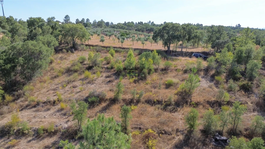 Terreno Agricola ou Rústico para Venda em Tinalhas Foto 13