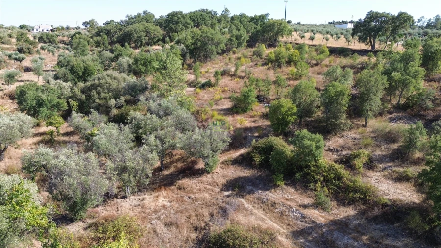 Terreno Agricola ou Rústico para Venda em Tinalhas Foto 6