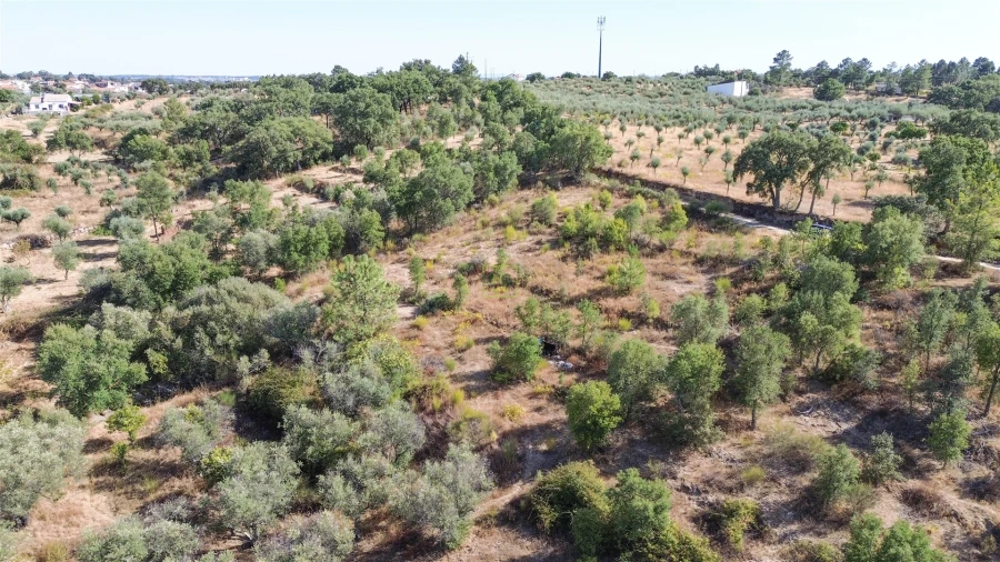 Terreno Agricola ou Rústico para Venda em Tinalhas Foto 5