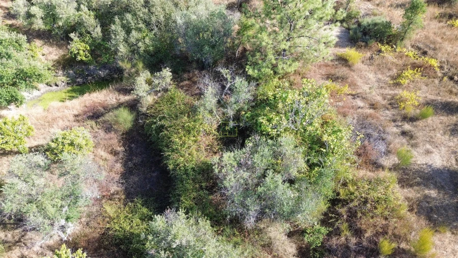 Terreno Agricola ou Rústico para Venda em Tinalhas Foto 11