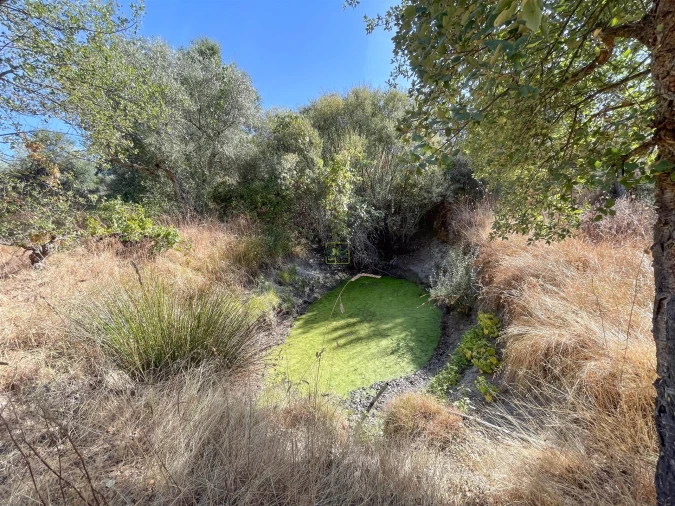 Terreno Agricola ou Rústico para Venda em Tinalhas Foto 47