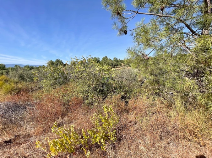 Terreno Agricola ou Rústico para Venda em Tinalhas Foto 32