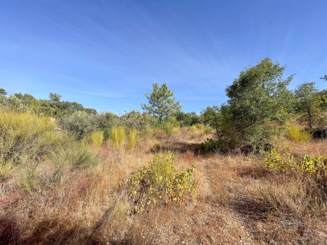Terreno Agricola ou Rústico para Venda em Tinalhas Foto 36