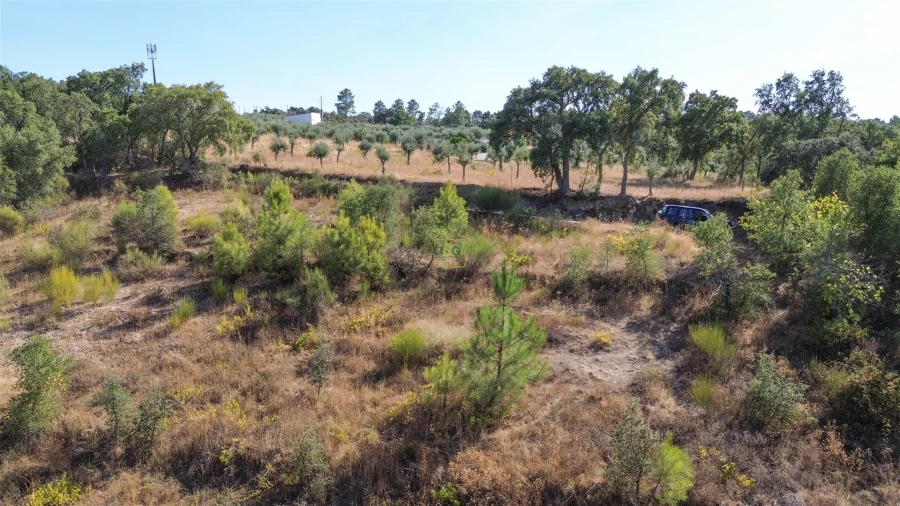 Terreno Agricola ou Rústico para Venda em Tinalhas Foto 9