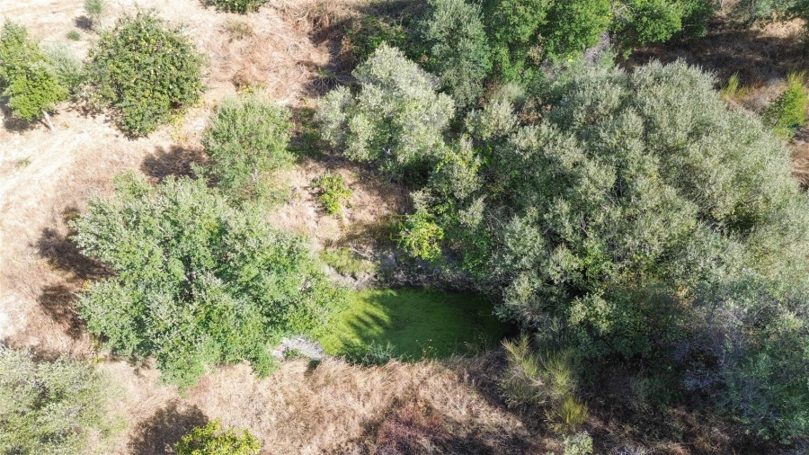 Terreno Agricola ou Rústico para Venda em Tinalhas Foto 12