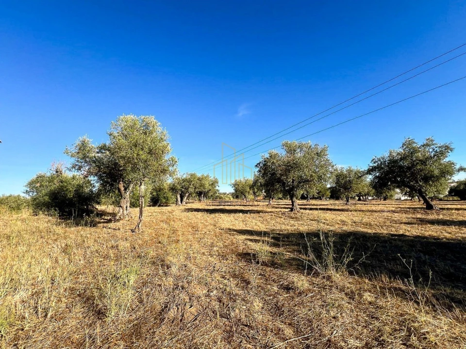 Terreno para Venda em Redondo Foto 7