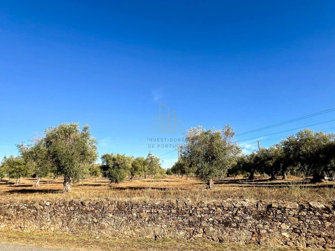 Terreno para Venda em Redondo Foto 6