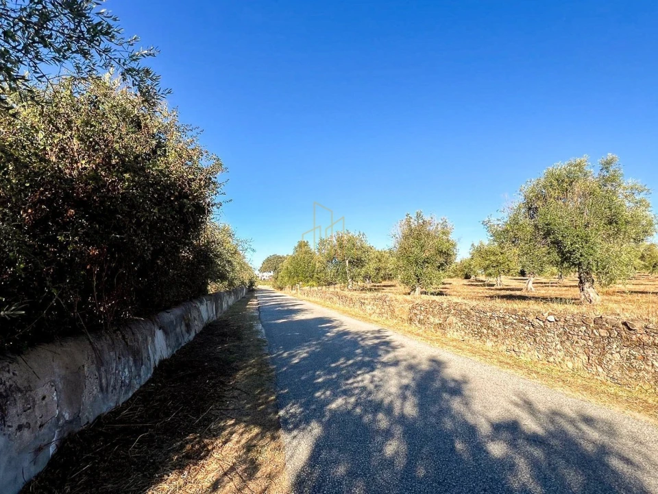Terreno para Venda em Redondo Foto 8