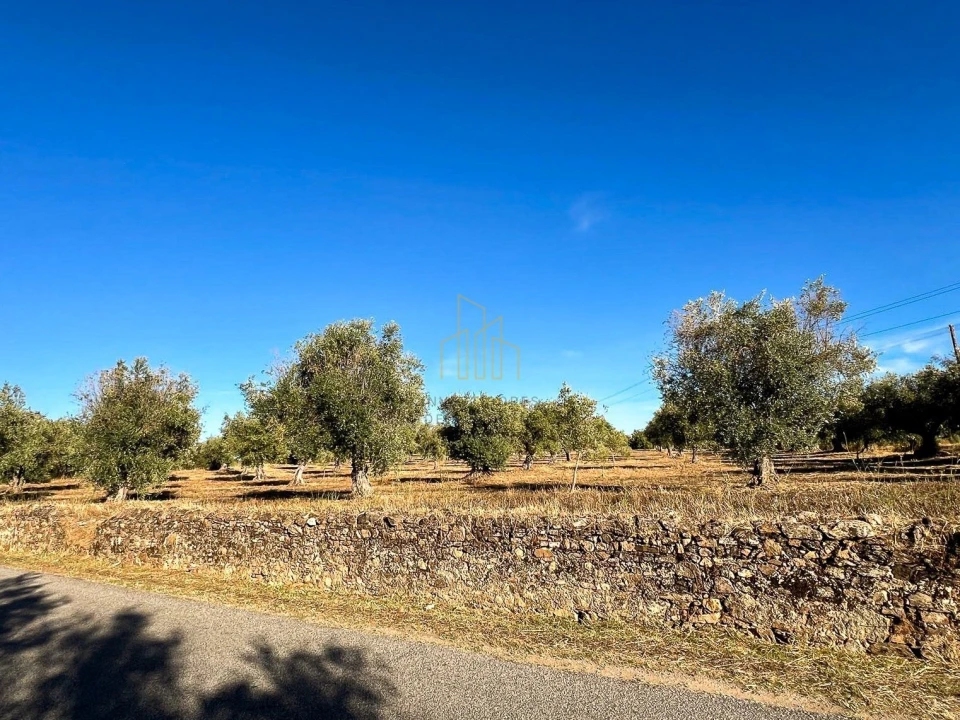 Terreno para Venda em Redondo Foto 9