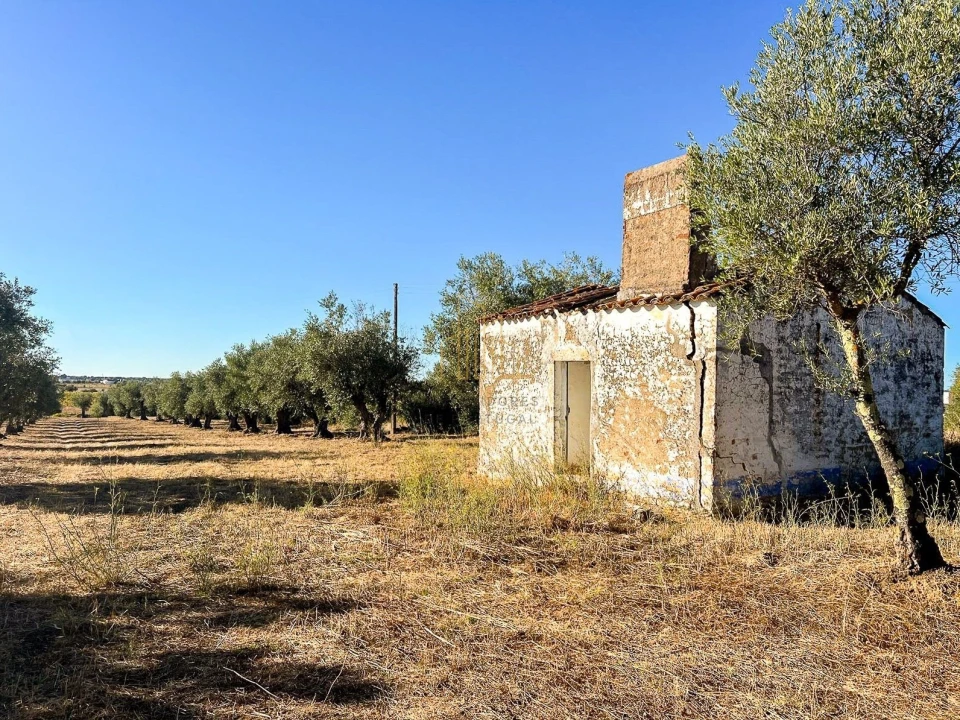 Terreno para Venda em Redondo Foto 1
