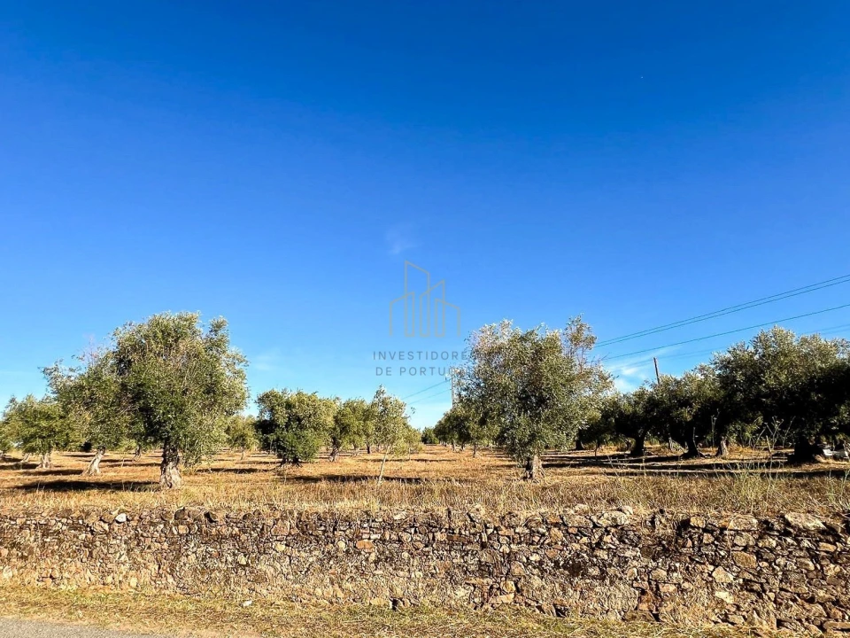 Terreno para Venda em Redondo Foto 6