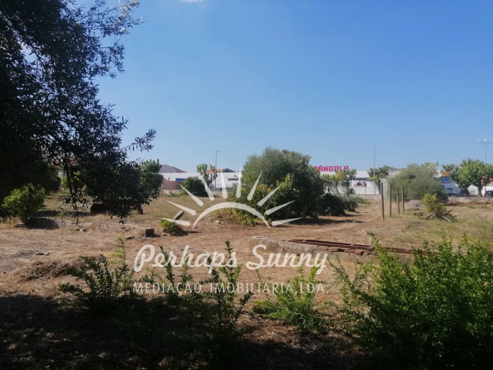 Terreno para Venda em Grândola e Santa Margarida da Serra Foto 9